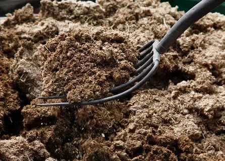 تصویر 3 از خرید کود نانو ارگانیک + قیمت فروش استثنایی